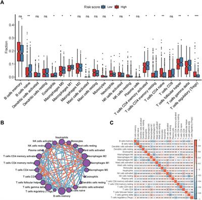 A prognostic 15-gene model based on differentially expressed genes among metabolic subtypes in diffuse large B-cell lymphoma